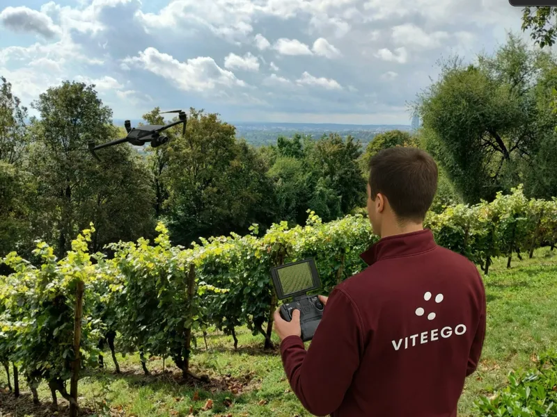 Arpentage des parcelles