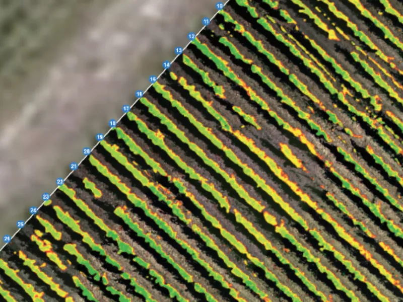 Inventaire des parcelles