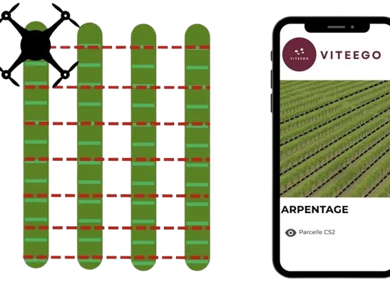 Schéma de l'arpentage topographique par drone ±0,5 cm — VITEEGO